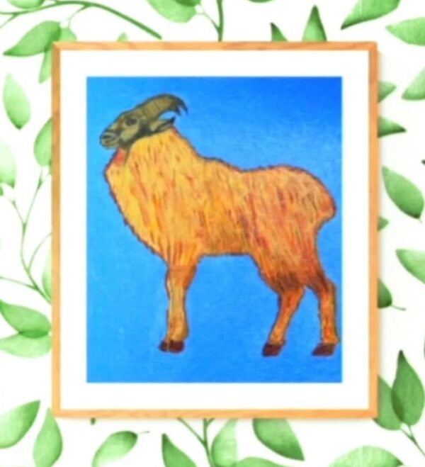 Himalayan Tahr