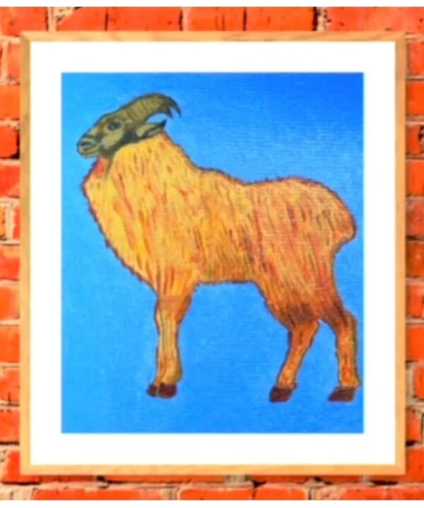 Himalayan Tahr